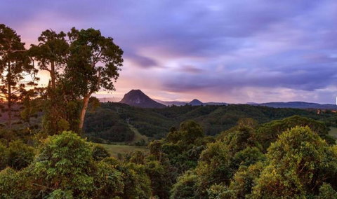 Cooroy Country Cottages - Australian Destinations 3