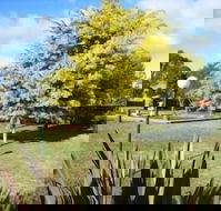 Bairnsdale Main Motel - Australian Destinations