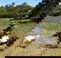 Country Cottages of Bridgetown - Australian Destinations