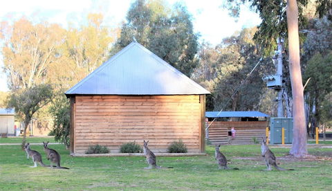 Ingenia Holidays Murray Bend - Australian Destinations 1