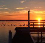 Bayview Boathouse - Australian Destinations