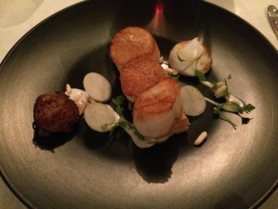 Clubs Noosa Heads QLD Australian Destinations