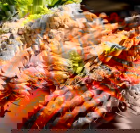 Table 30 - Australian Destinations