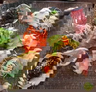 Toshi's Japanese Restaurant - Australian Destinations