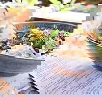 Beach Bum - Australian Destinations