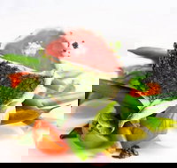 Lenzerheide Restaurant - Australian Destinations