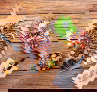 Bar Alto - Australian Destinations