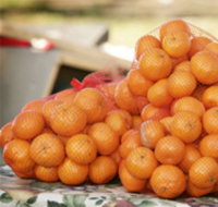 Mathoura Mandarins - Australian Destinations