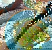 Ground New Farm - Australian Destinations