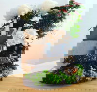 The Frond Cafe - Australian Destinations