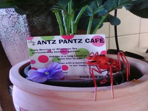Antz Pantz Cafe - Australian Destinations 0