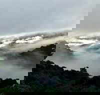 The Mushroom at Waratah - Australian Destinations