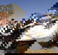 Peppermints Coffee Lounge - Australian Destinations