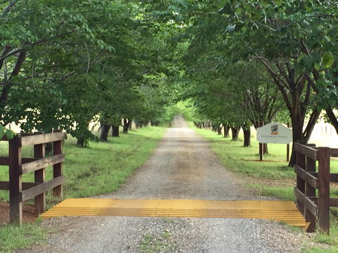 Stockmans Ridge Wines - Australian Destinations 1