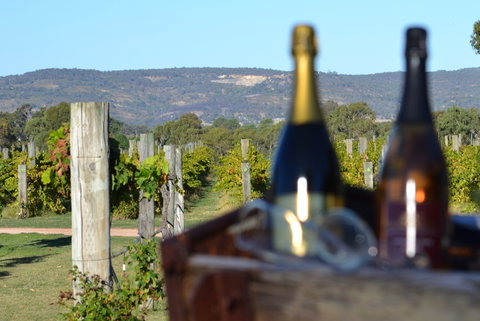 Ugly Duckling Wines - Australian Destinations 1