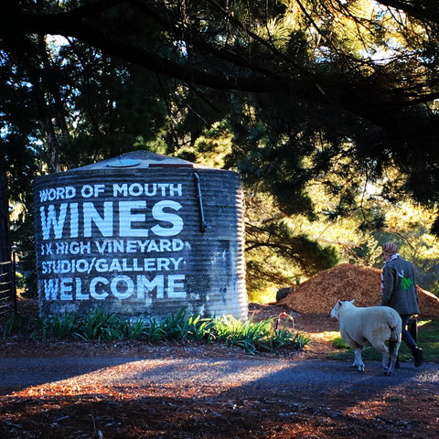 Word Of Mouth Wines - Australian Destinations 1