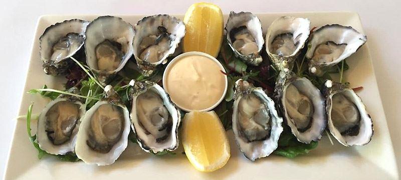 Mitcham SA Australian Destinations