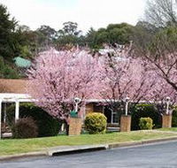 White Lanterns Motel - Australian Destinations