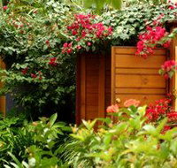 Pink Flamingo - Australian Destinations