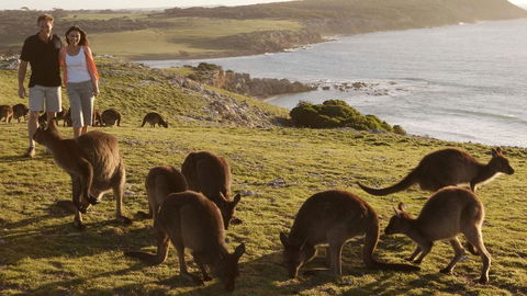 Kangaroo Island Seafront - Australian Destinations 13