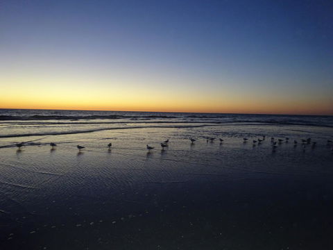 Selene Holiday Apartment @West Beach - Australian Destinations 6