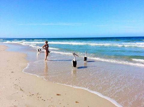 Atlantic West Beach Apartments - Australian Destinations 22