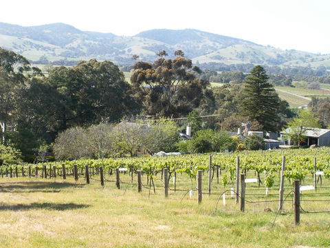 Archery Road Estate - Australian Destinations 12