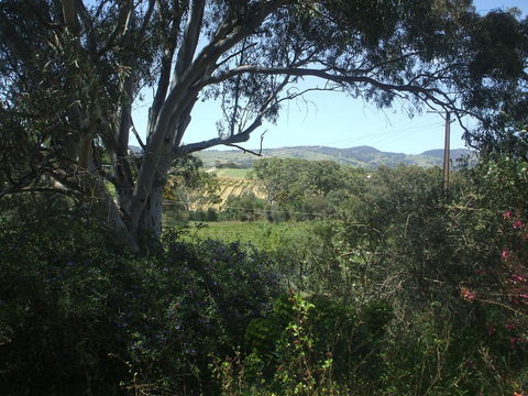 Archery Road Estate - Australian Destinations 0