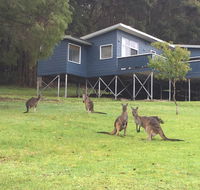Blue House Denmark - Australian Destinations