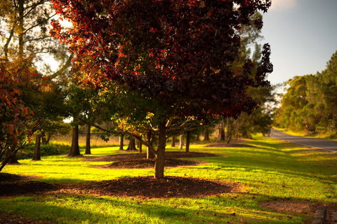 Bundanoon Country Inn Motel - Australian Destinations 20