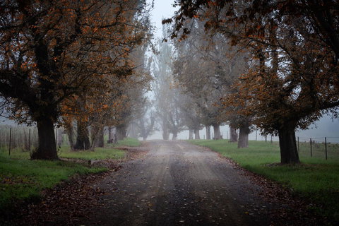 Bundanoon Country Inn Motel - Australian Destinations 17