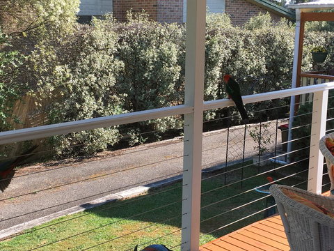 The Best Exotic Magnolia Cottage - Australian Destinations 15