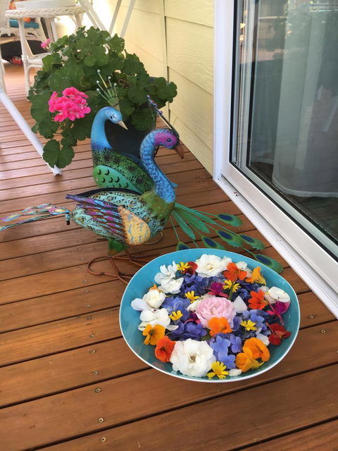 The Best Exotic Magnolia Cottage - Australian Destinations 8