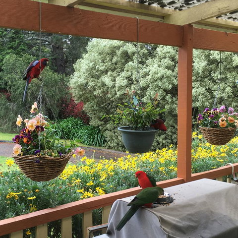 The Best Exotic Magnolia Cottage - Australian Destinations 33