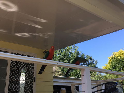 The Best Exotic Magnolia Cottage - Australian Destinations 11