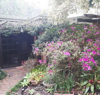 Charming country house close to Grafton - Australian Destinations