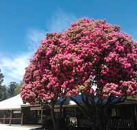 Crossways Country Inn - Australian Destinations