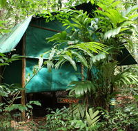 Daintree Crocodylus - Australian Destinations