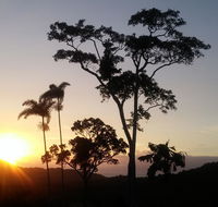 Daintree Holiday Homes - Yurara - Australian Destinations