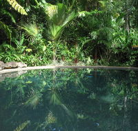 Daintree Rainforest Retreat Motel - Australian Destinations