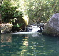 Daintree Secrets Rainforest Sanctuary - Australian Destinations