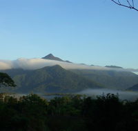 Epiphyte B  B - Australian Destinations