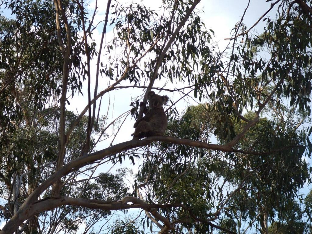 Kilbirnie QLD Australian Destinations