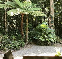 Forest Views Daintree - Australian Destinations