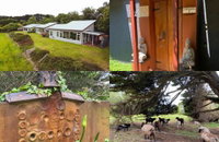 Book Kongwak Accommodation Vacations Australian Destinations Australian Destinations