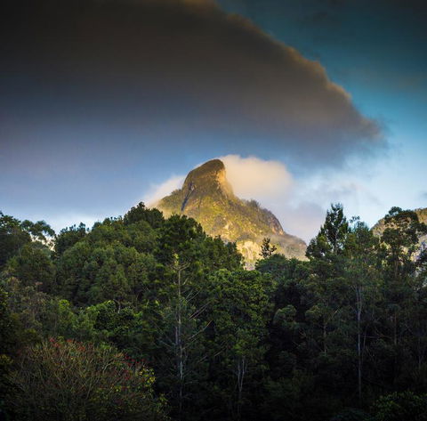 Mavis's Cabins @ Mt Warning - Australian Destinations 1