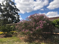 Book Cockburn Central Accommodation Vacations Australian Destinations Australian Destinations