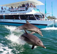 Belvedere Caravan Park - Australian Destinations