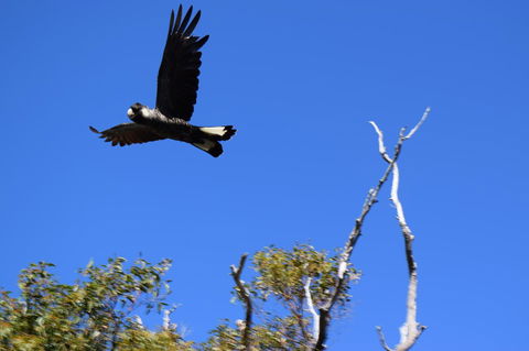 Eagle Bay House - Australian Destinations 8