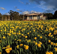 Mountain Blue Guest House - Australian Destinations